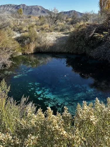 Best Hikes and Trails in Ash Meadows National Wildlife Refuge | AllTrails