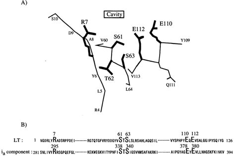 (A) Active-site structure of LT. This active-site configuration was... | Download Scientific Diagram