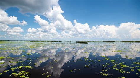 Lake Okeechobee, Florida's largest freshwater lake, sits at 13.5 feet ...