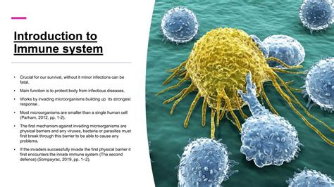 Immune System Powerpoint Ppt