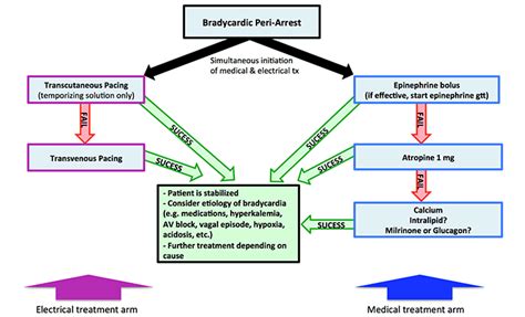 PulmCrit- Epinephrine vs. atropine for bradycardic periarrest