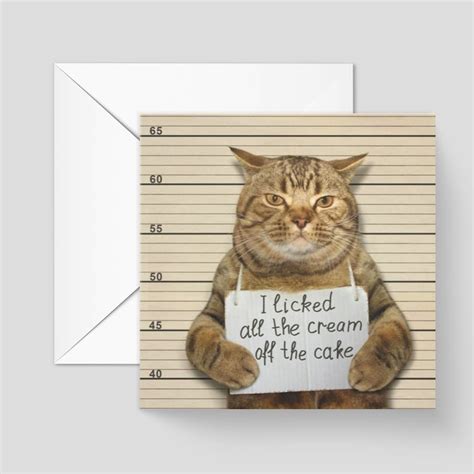 Funny Cat Birthday Card Funny Cat Card Humorous Cat Card - Etsy