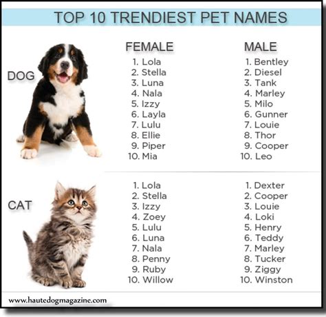 top-10-dog-names - Dogs Deserve It