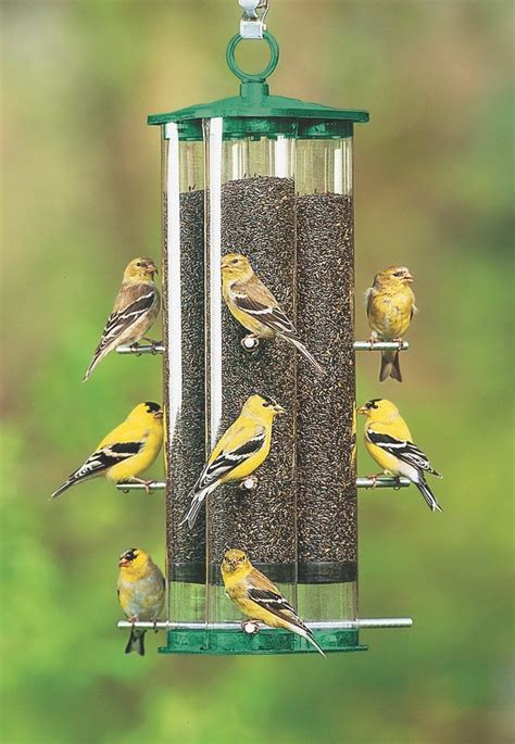 The Best Finch Feeders to Serve Thistle Seed - Birds and Blooms