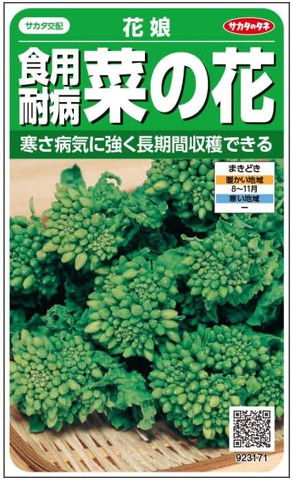 Amazon サカタのタネ 実咲野菜3171 ハナナ 食用耐病菜の花 花娘 野菜