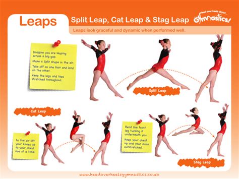 Gymnastics Leaps And Jumps Teaching Resources