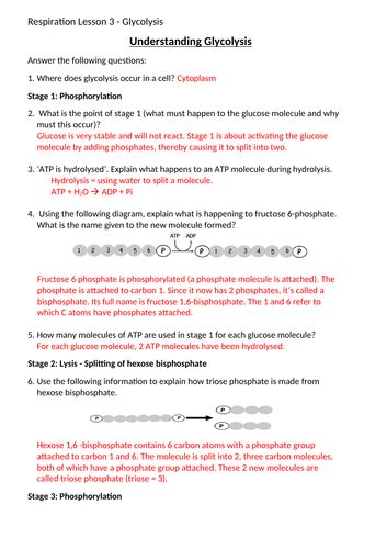 Lesson 3 Glycolysis A Level Bio Ocr Teaching Resources