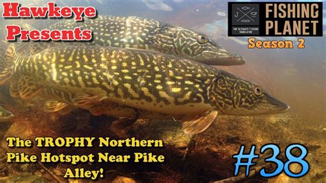 Fishing Planet S The Trophy Northern Pike Hotspot Near Pike Alley