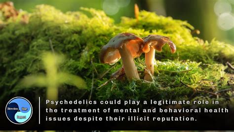 Psychedelics Could Play A Legitimate Role In The Treatment Of Mental