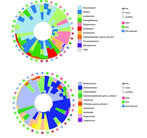 Taxonomic Diversity Of Kombucha Products Microbiomes And Mycobiomes