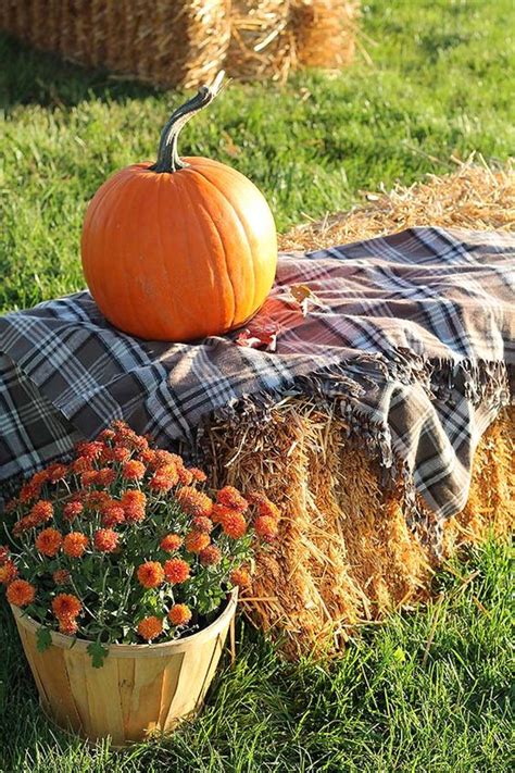 25 Plaid Fall Décor Ideas For A Cozy Touch Shelterness