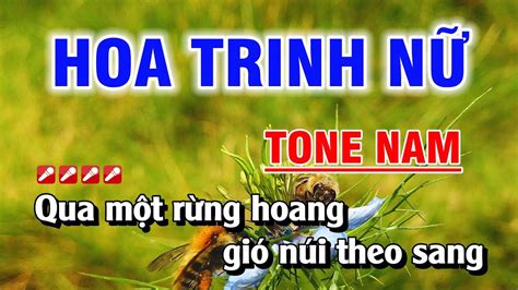 Karaoke Hoa Trinh N Tone Nam Nh C S Ng D H T Nguy N Duy Youtube