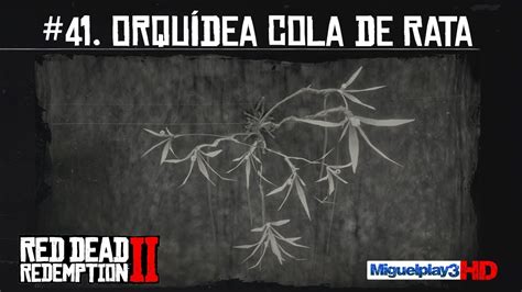 Localización Múltiple Orquídea Cola De Rata 41pendio Plantas Red Dead Redemption 2