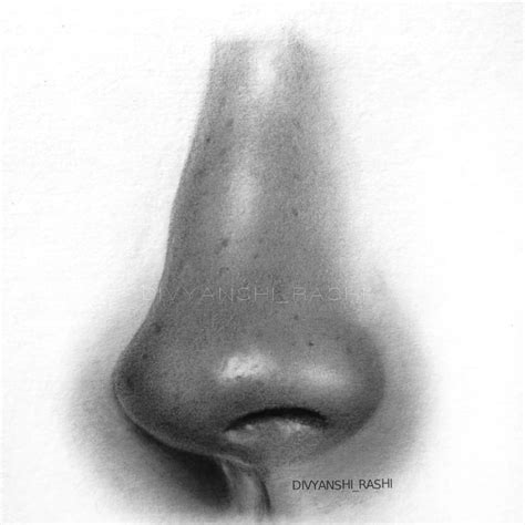 Realistic Nose Drawing on Sale | www.aikicai.org