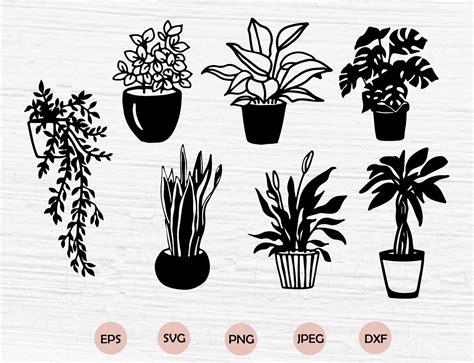 Plants Svg Gardening Svg Floral Svg Files For Cricut Etsy