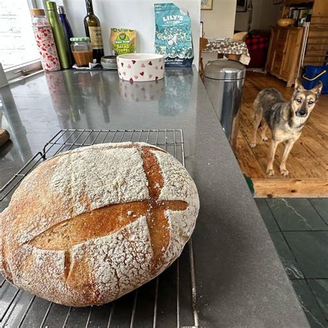 Rory Cellan Jones On Twitter A New Sourdough How Excellent Says