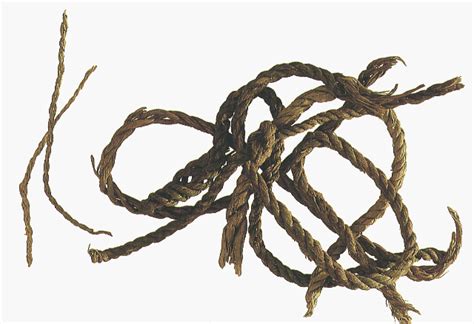 Make Cordage From Natural Materials Ways To Survive