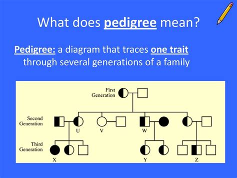 Pedigree Definition