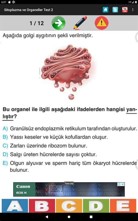 Ogm Materyal 9 Sınıf Biyoloji 3