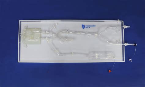 Modelo Vascular Intracraneal Sjx Trando D Medical Technology