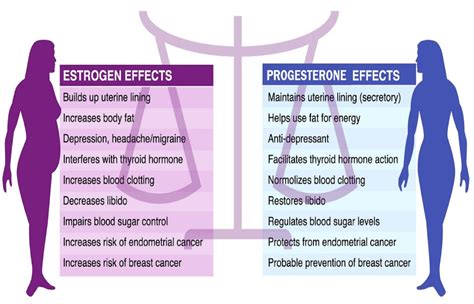 What Is Estrogen Dominance Erofound