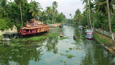 From Kochi: 7-Day Kerala Tour Package with Accommodation | GetYourGuide