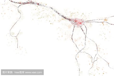 神经系统退化_邪恶奥特之母超母体退化邪恶acg - 随意云
