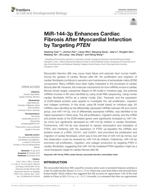 Pdf Mir P Enhances Cardiac Fibrosis After Myocardial Infarction