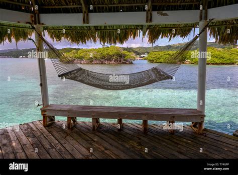 Hammock On A Dock Bay Islands Department Honduras Stock Photo Alamy