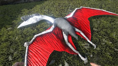 Quetzal Official ARK Survival Evolved Wiki