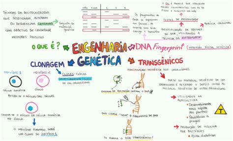 Biotecnologia Diagram Quizlet