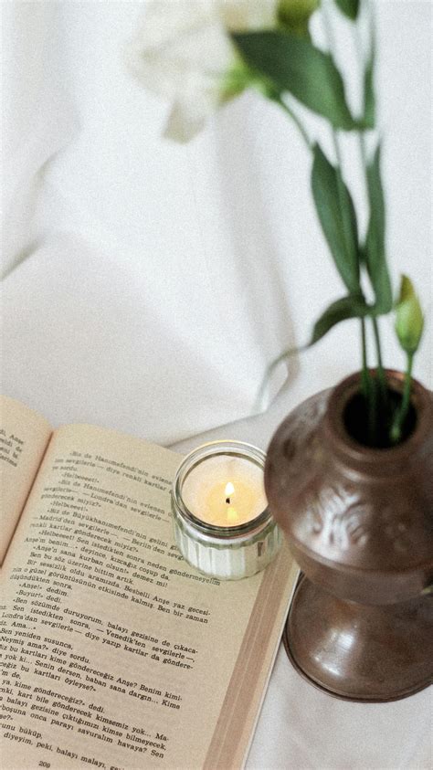 The Burning Page ( The Invisible Library Series) 2
