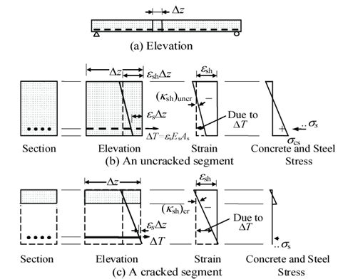 Shrinkage Induced Deformation And Stresses On A Singly Reinforced