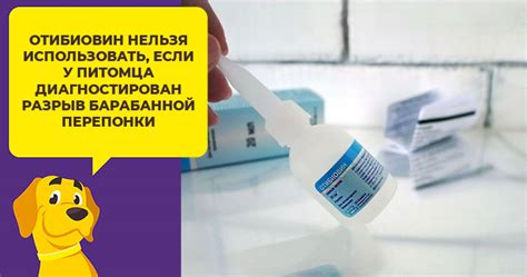 Отибиовет и отибиовин в чем разница, отидез аналоги инструкция по ...