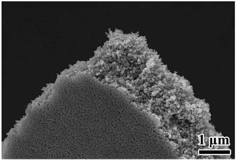 纳米多孔铜 Cu Oh 2纳米线阵列传感器电极材料及其制备方法与流程