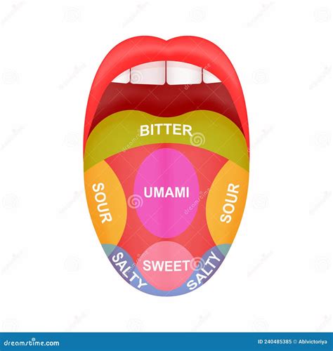 Appoggiare La Lingua Con Una Cartina Recante Le Zone Dolcificanti Acide