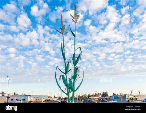 Giant corn sculpturem Taber, Alberta, Canada Stock Photo: 88352093 - Alamy