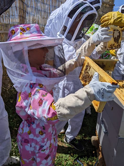 Wecandoo Découvrez l apiculture et dégustez du miel et des boissons