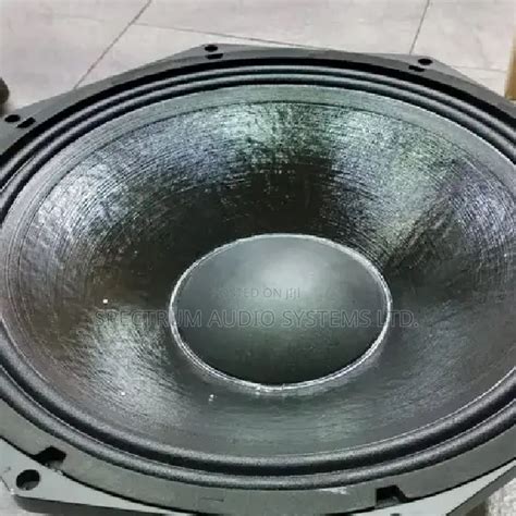 Pd Naked Speaker In Nairobi Central Audio Music Equipment Spectrum Audio Systems Ltd
