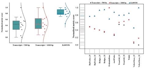 Normalized Workflow To Optimize Hybrid De Novo Transcriptome Assembly