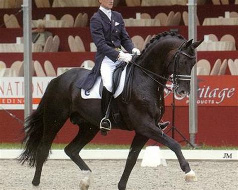 Dumble de Jeu: Cheval de Dressage, 3 vidéos exclusives, Pedigree, Résultats