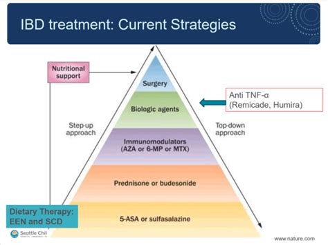 New treatments and diet therapies: IBD 2017 - Gut Harmony