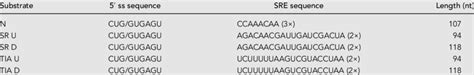 Substrate RNAs used in pull-down experiments | Download Scientific Diagram