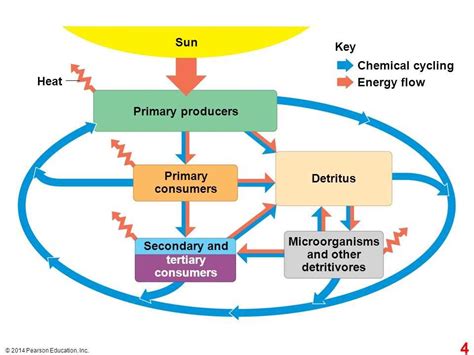 Understanding Energy Transformation in Chemistry Diagrams