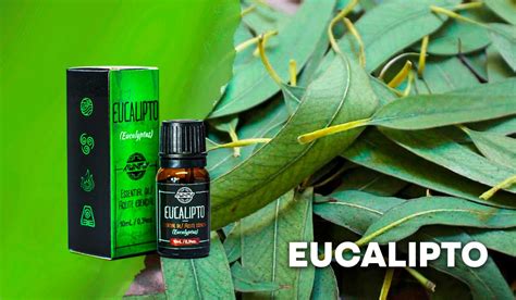 Aceite De Eucalipto Masajerilax