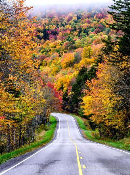 The Best Places To See Explosive Fall Foliage Outside Of New England