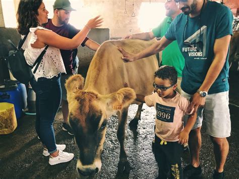 Thematic Tours Dairy Farm Experience