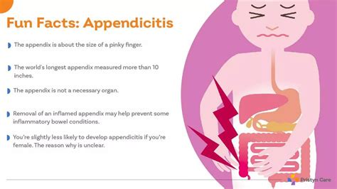 Appendicitis Causes Symptoms Treatment PPT