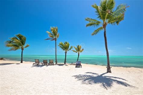 Idyllic White Sand Beach In Islamorada On Florida Keys Stock Image