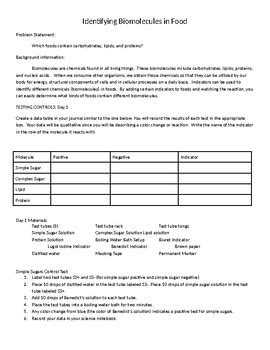 Identifying Biomolecules In Food By Leslee Mcgehee Tpt